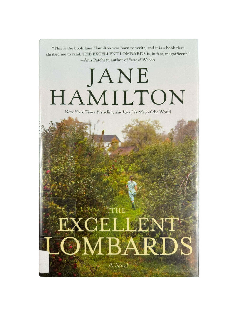 The Excellent Lombards by Jane Hamilton (Hardcover)